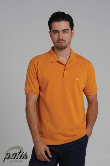 پولوشرت جودون